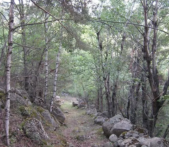 Landsted Ca L'escola