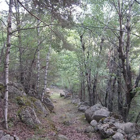 Lantställe Ca L'escola